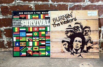 Bob Marley Vinyl Bundle