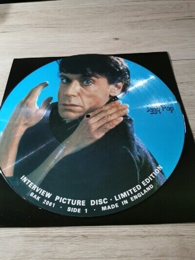 Iggy Pop Interview Picture Disc 12 Vinyl LP