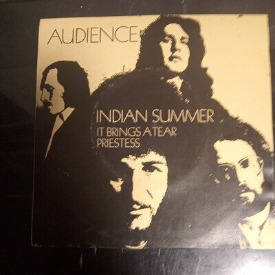 Audience ‎– Indian Summer - Charisma ‎– CB 141 - (7" Vinyl) FREE POSTAGE FOR UK