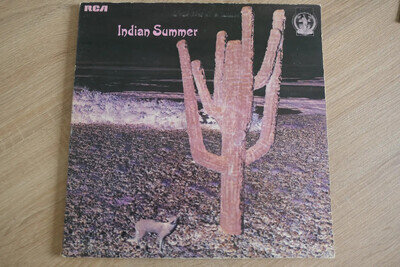 INDIAN SUMMER – DEBUT LP – Nr MINT/EXC+ UK 1971 PROG ROCK