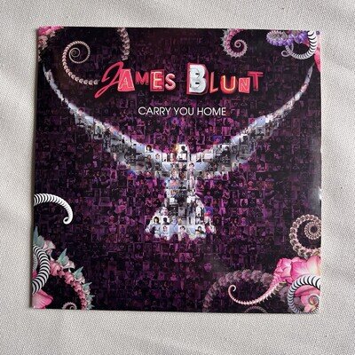 James Blunt - Carry You Home 7" Vinyl Single AT0300 2008 NM