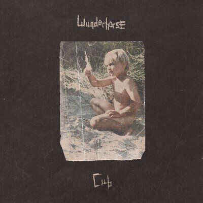 Wunderhorse | Cub | Clear Vinyl LP - Exclusive Edition