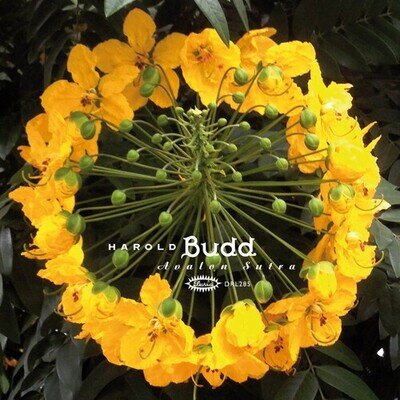 Harold Budd - Avalon Sutra [New Vinyl LP] Bonus CD, Ltd Ed