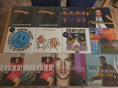 Joblot 13 x Vinyl record collection LPS Jake Bugg Swim Deep Deap Lips Pumarosa