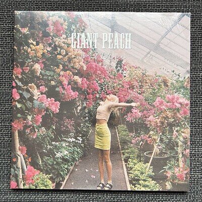 WOLF ALICE 7” Vinyl Single ‘Giant Peach’ SEALED AS NEW Limited To 500. (2015)