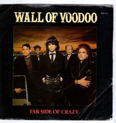 Far Side Of Crazy : Wall Of Voodoo