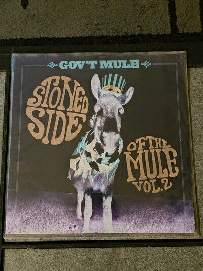 Govt Mule Stoned Side Of The Mule Vol. 2 Rare Vinyl Record NM Warren Haynes!🎸🔥