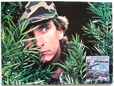 JOE WALSH 1981 POSTER ADVERT THERE GOES THE NEIGHBORHOOD The Eagles James Gang