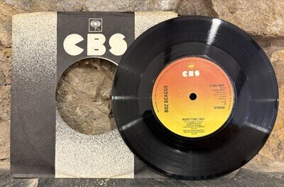 Boz Scaggs What Can I Say / Harbour Lights 7” Vinyl Single 1976 CBS S CBS 4869