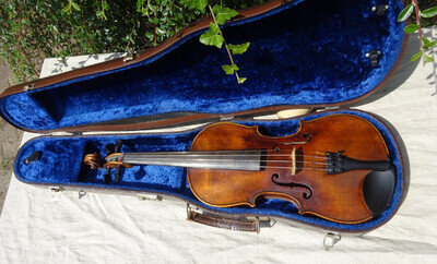 Violin Violin 59.5cm Body Approx 36.5cm