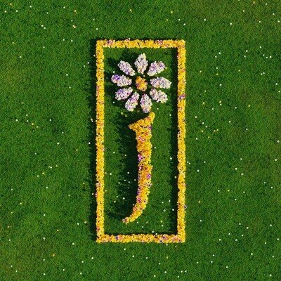 James : Nothing But Love: The Definitive Best Of VINYL 12" Album Box Set 5