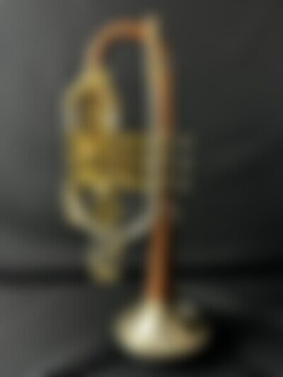 Holton Super Collegiate Tri-Color Cornet (Vintage 1960-1961)