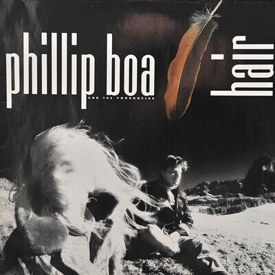 Phillip Boa And The Voodooclub - Hair Vinyl LP Album (LP Record) - NM/VG