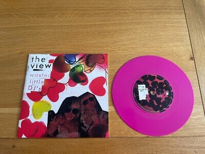 The View-Wasted little dj's.7"