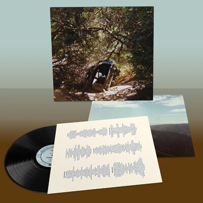 Ty Segall Possession Black Vinyl LP
