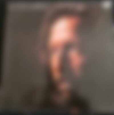 Eric Clapton Journeyman 1989 Vinyl LP Duck Records WX 322