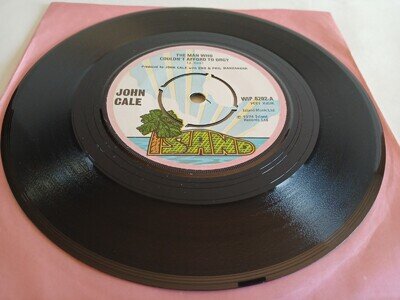 JOHN CALE - THE MAN WHO COULDN'T AFFORD TO ORGY (VELVET UNDERGROUND)