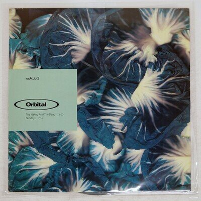 ORBITAL Radiccio 2 INTERNAL 8698711 UK VINYL LP