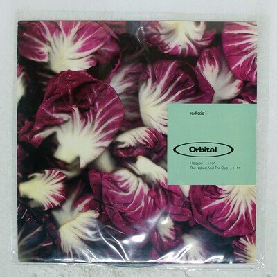 ORBITAL RADICCIO 1 INTERNAL LIARX1 Europe VINYL 12