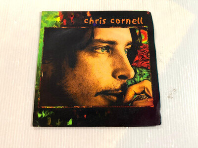 CHRIS CORNELL Flutter Girl/Sunshower 7" PROMO SINGLE 1999 A&M GREEN SOUNDGARDEN