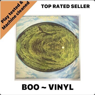 Mike Oldfield ~ Hergest Ridge Italian Issue vinyl record LP EX / EX Condition