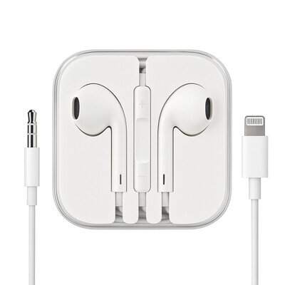 Wired Earphones Headphones with Mic & Case 3.5mm Jack / Lightning iPhone Samsung