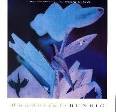 Runrig - Wonderful - Used Vinyl Record 7 - 24 - Y5783z