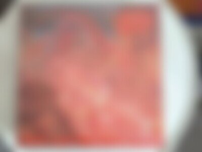 Morbid Angel Blessed Are the Sick First Press LP Vinyl 1991, Earache VG+/VG+