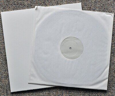 ANDREAS VOLLENWEIDER BEHIND THE GARDENS UK CBS TEST PRESSING FUSION AMBIENT NM