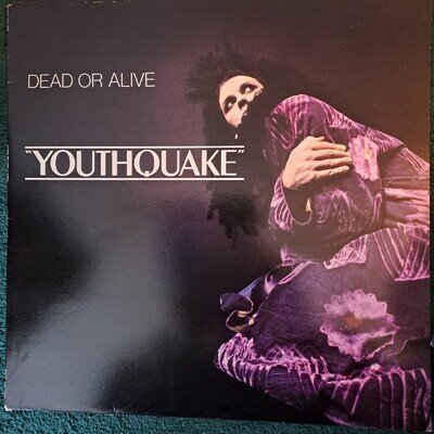 Dead or Alive Youthquake
