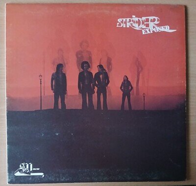 STRIDER exposed ORIGINAL LP FREE POST BABE RUTH, THE WHO, PAUL YOUNG