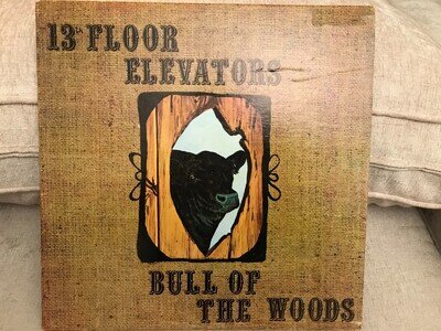 13th Floor Elevators Bull Of The Woods White Label Promo LP VG++