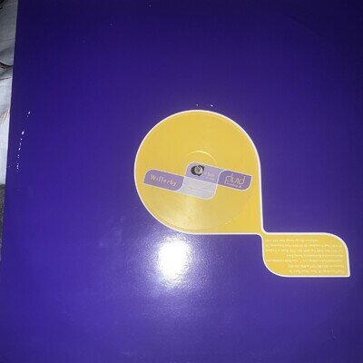 Willerby - The Survivor - UK 12" Vinyl - 2000 - Fluid