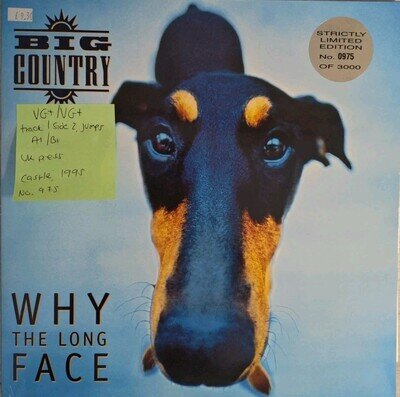 Big Country Why The Long Face Vinyl Record VG+/VG+ TRALP109 1995 No. 0975