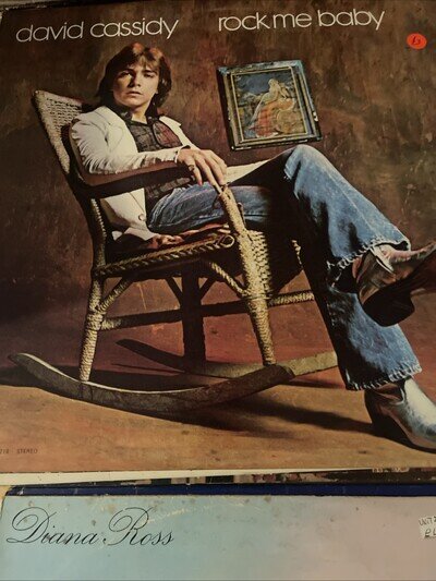 DAVID CASSIDY ROCK ME BABY VINYL LP Bell Records BELL 1109