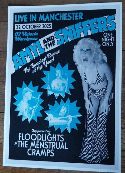 Amyl and the Sniffers - live music show 2025 promotional tour concert gig poster
