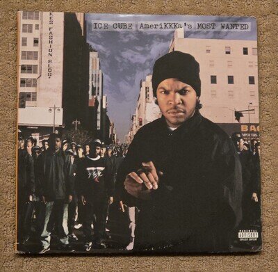 Ice Cube Amerikkka's Most Wanted vinyl record album Priority Records Hip-Hop
