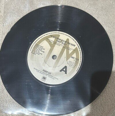 Peggy Lee I've Got Them Feelin' Too Good Today Blues 7" vinyl UK A&m 1975 solid