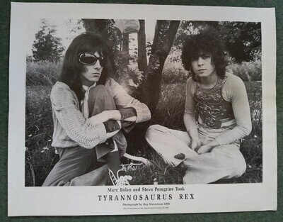 TYRANNOSAURUS REX Ray Stevenson 1969 Ty. Rex Appreciation Society Poster BOLAN