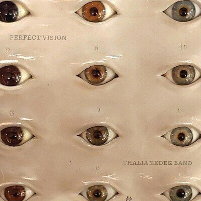 Perfect Vision by Thalia Zedek Band (Vinyl 2021)