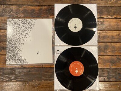 WILCO Sky Blue Sky ORIGINAL PRESSING Vinyl DOUBLE LP nonesuch RARE 180g