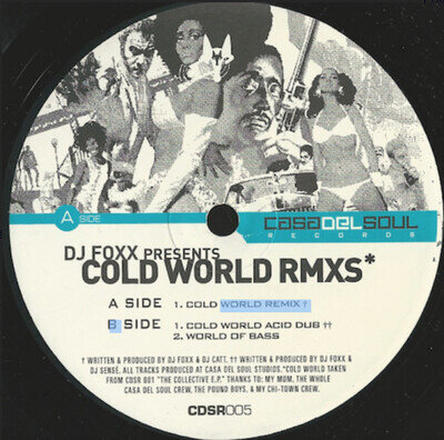 DJ Foxx - Cold World Rmxs 12" Vinyl Casa Del Soul Records 2000