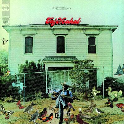 Taj Mahal Taj Mahal (Vinyl) 12" Album