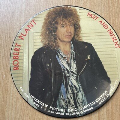 LED Zeppelin-Robert Plant -12” Picture Disc-past and Present Limited Edition