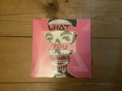 Bastille (4) – Survivin' What You Gonna Do??? [VINYL]