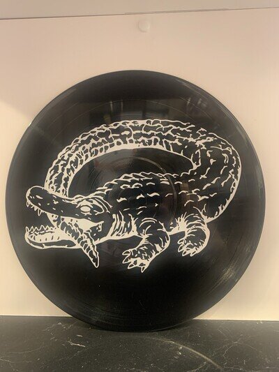 Catfish And The Bottlemen The Ride 12 Inch Decorative Vinyl