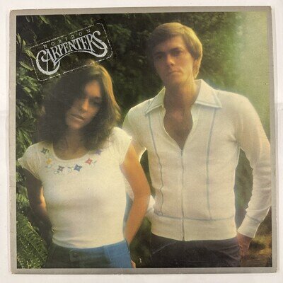 The Carpenters - Horizon (Vinyl Album) EX/VG+