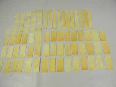 Vintage Piano Key Top Veneers - Lot of 77 pcs. - 5D