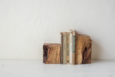 Worm-Eaten Bookend (L)