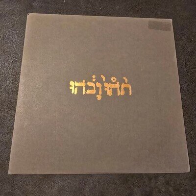 Godspeed You Black Emperor Slow Riot Zero Kanada EP 12" 1999 CST006 Canada